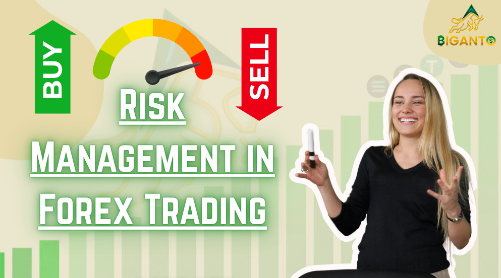 Risk Management in Forex Trading