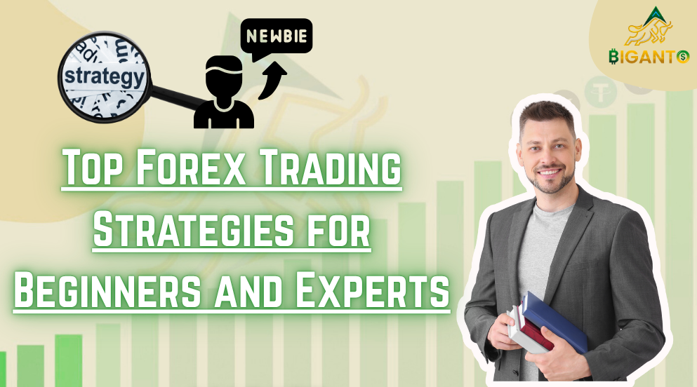 Top Forex Trading Strategies for Beginners and Experts