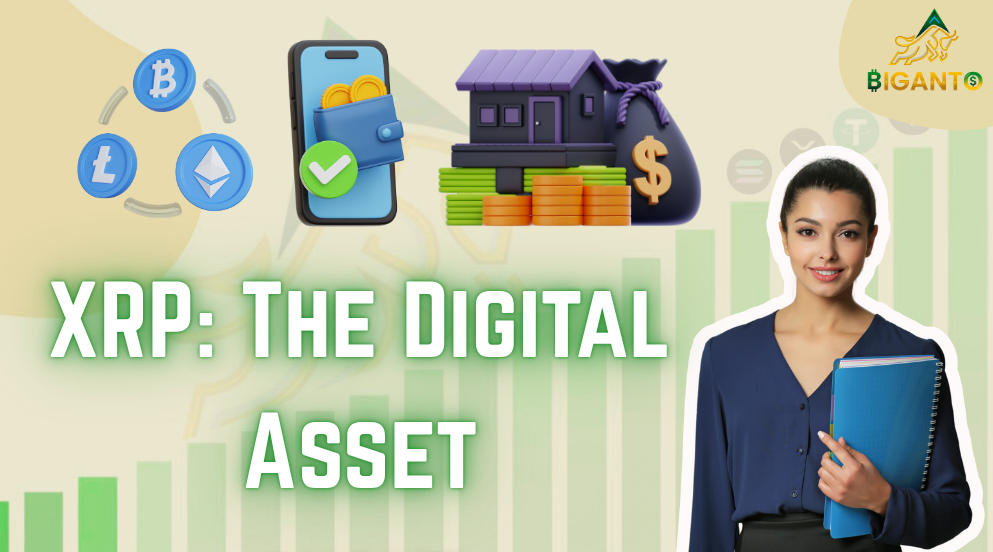 XRP: The Digital Asset