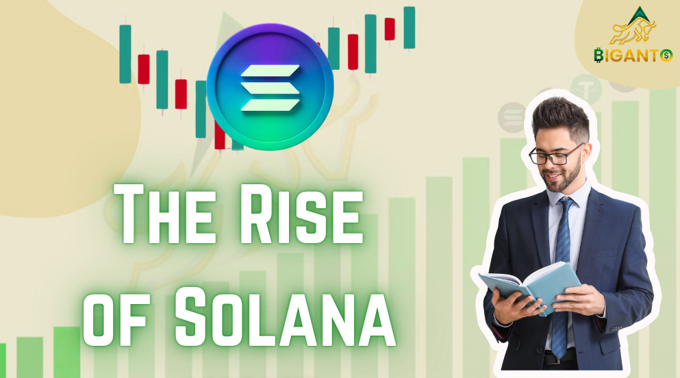 The Rise of Solana
