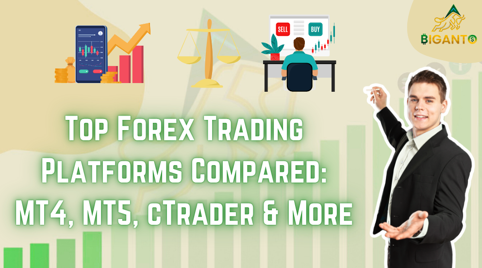 Top Forex Trading Platforms Compared: MT4, MT5, cTrader & More